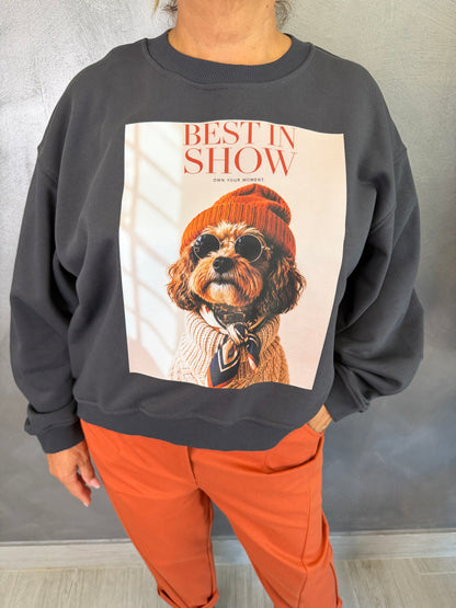 Felpa Grigia Grafite Best In Show Vicolo