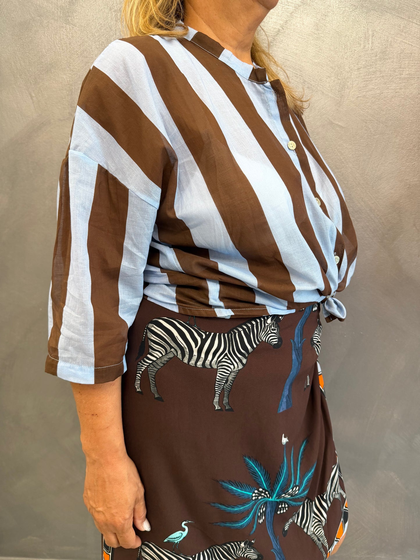 Camicia Righe Marrone