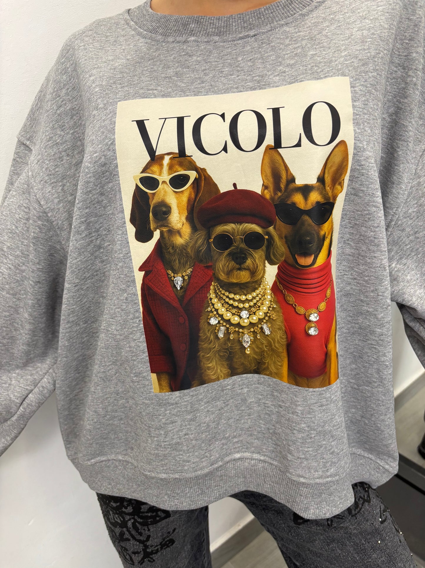Felpa Trio Dogs Grigia Vicolo